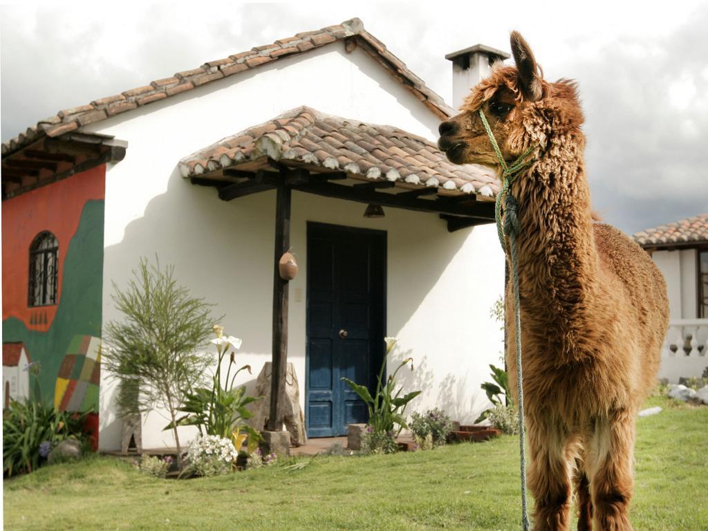 La Quinta Colorada Hotel Lasso Exterior photo