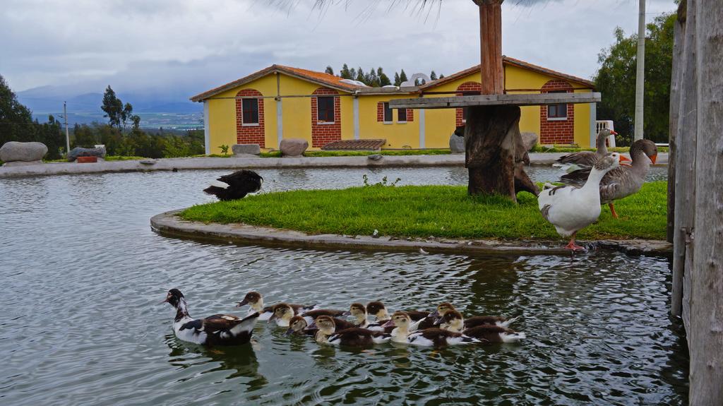 La Quinta Colorada Hotel Lasso Exterior photo
